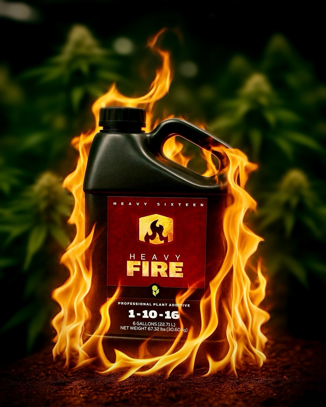 🔥 GROW YOUR FIRE, FROM ROOT TO HARVEST 🔥
If you’re chasing big buds and bold flavor, HEAVY Fire is your go-to from the last week of veg all the way through flower. This powerful bloom stimulator blends premium PK with essential bloom-phase nutrients to drive explosive flower formation and ripening 🌱➡️💥
Start early, ramp gradually, and let Heavy Fire fuel your plants through every stage of bloom — from pre-flower stretch to the final push before harvest. Expect dense flowers, vibrant aroma, and results that speak for themselves 🚀
Whether you’re running soil, hydro, coco, or anything in between, Heavy Fire fits seamlessly into any grow system. Your fire’s just waiting to be lit 🔥
#HEAVY16 #HEAVY16Nutrients #HEAVY16Fire #HEAVYFire #PK #PKBooster #Flowering #GetBigGetHEAVY #GrowWithHEAVY #HEAVY16Stacks
