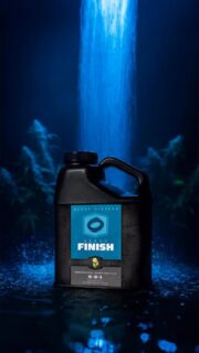 HEAVY Finish isn’t just a flush — it’s a final statement. 🌿
This all-natural bio-regulator transforms water at the molecular level, making it more active and able to penetrate deeply into soil and media. It balances electrochemistry by donating and receiving electrons, unlocking the full expression of your crop’s genetics 🧬 
Use it in your final week to reclaim tired soils, buffer EC and pH, and purge out residual salts or heavy metals from sub-par regimens. Its natural chelating structures are lab-refined to a uniform size that cleans far deeper than typical finishing products 💦 
Expect deeper color, heavier oils, and richer aromatics during flower senescence — the kind of results that elevate good runs into great ones. Some growers pair it with Heavy Prime for extra terp lift, others run it solo with pure water for a clean, powerful finish 🔥 
However you use it, Heavy Finish is your go-to for the final flush that actually finishes. 💧🌱 
#HeavyFinish #HEAVY16 #HEAVY16Nutrients #GetBigGetHEAVY #BigGrowerPreferred #GrowWithHEAVY #Indoor #Outdoor #Flush #FinalFlush