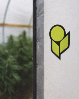 A staple in farms nationwide 😎🤟
Interested in trying out our lineup? Hit us up! Reach out at info@heavy16.com and we can help answer any questions you might have 👊 
#GrowWithHEAVY #Heavy16 #Heavy16Nutrients