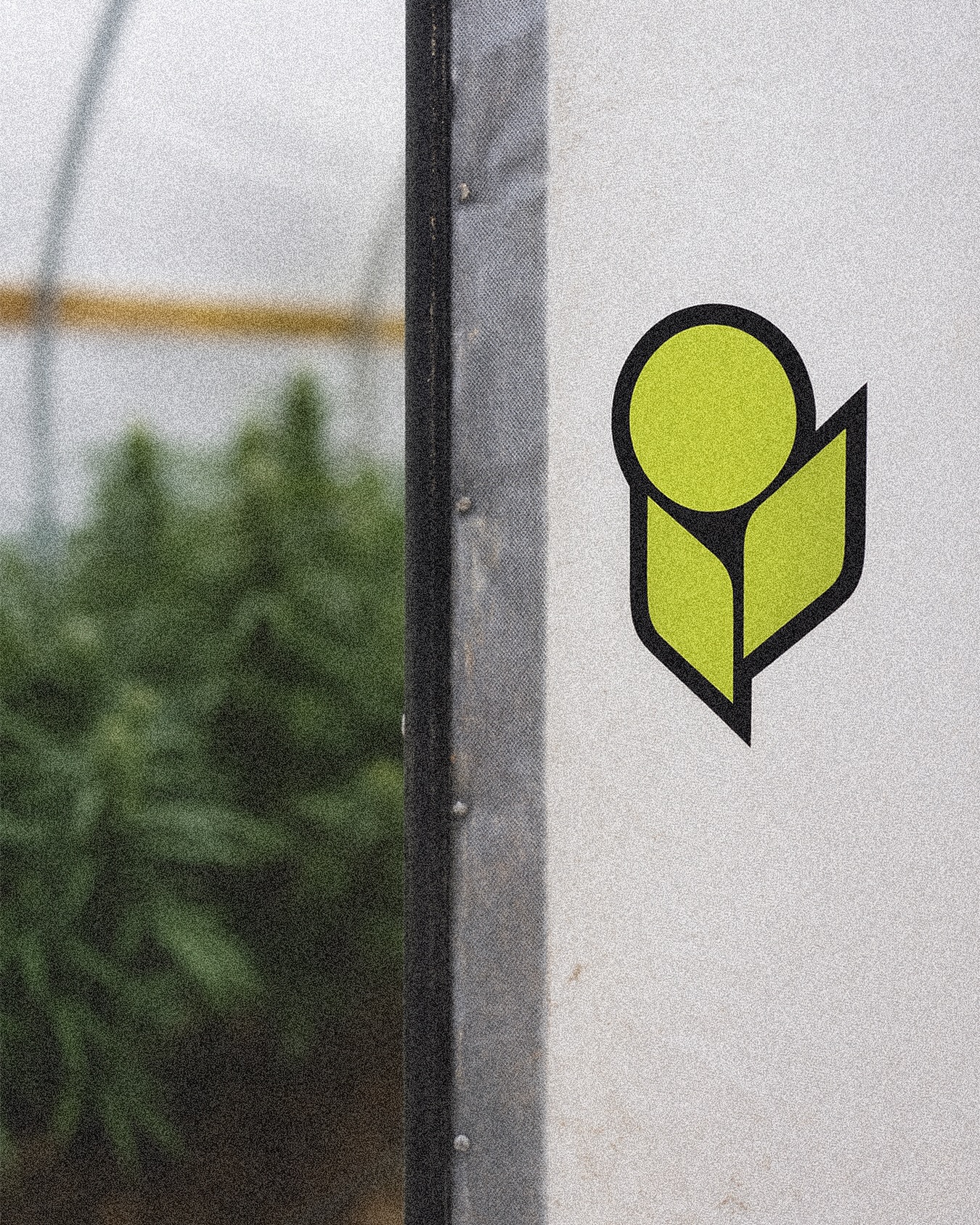 A staple in farms nationwide 😎🤟
Interested in trying out our lineup? Hit us up! Reach out at info@heavy16.com and we can help answer any questions you might have 👊 
#GrowWithHEAVY #Heavy16 #Heavy16Nutrients