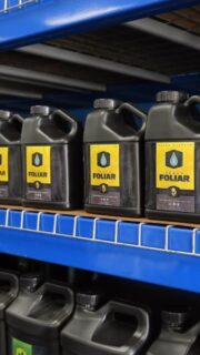 HEAVY 16 Foliar — protection and nutrition all in one 🌿
H16 Foliar delivers complete nutrition with multiple forms of calcium and key micronutrients, helping strengthen plant tissue, balance metabolism, and keep your canopy firing on all cylinders 🚀
Just a few reasons you’ll love it:
• Supports overall plant health + vigorous growth
• Helps correct early Ca/Mg-related issues
• Increases tolerance to heat, light, and environmental stress
• Integrates seamlessly with the full HEAVY 16 lineup
Use full-strength in veg, then lighter mists early in bloom to keep plants fortified during key growth windows! 🤟
Feed the leaves, protect the plant. Get HEAVY. 💪🌱
#HEAVY16 #HEAVY16Nutrients #GetBigGetHEAVY #BigGrowerPreferred #HEAVY16Foliar #FoliarSpray