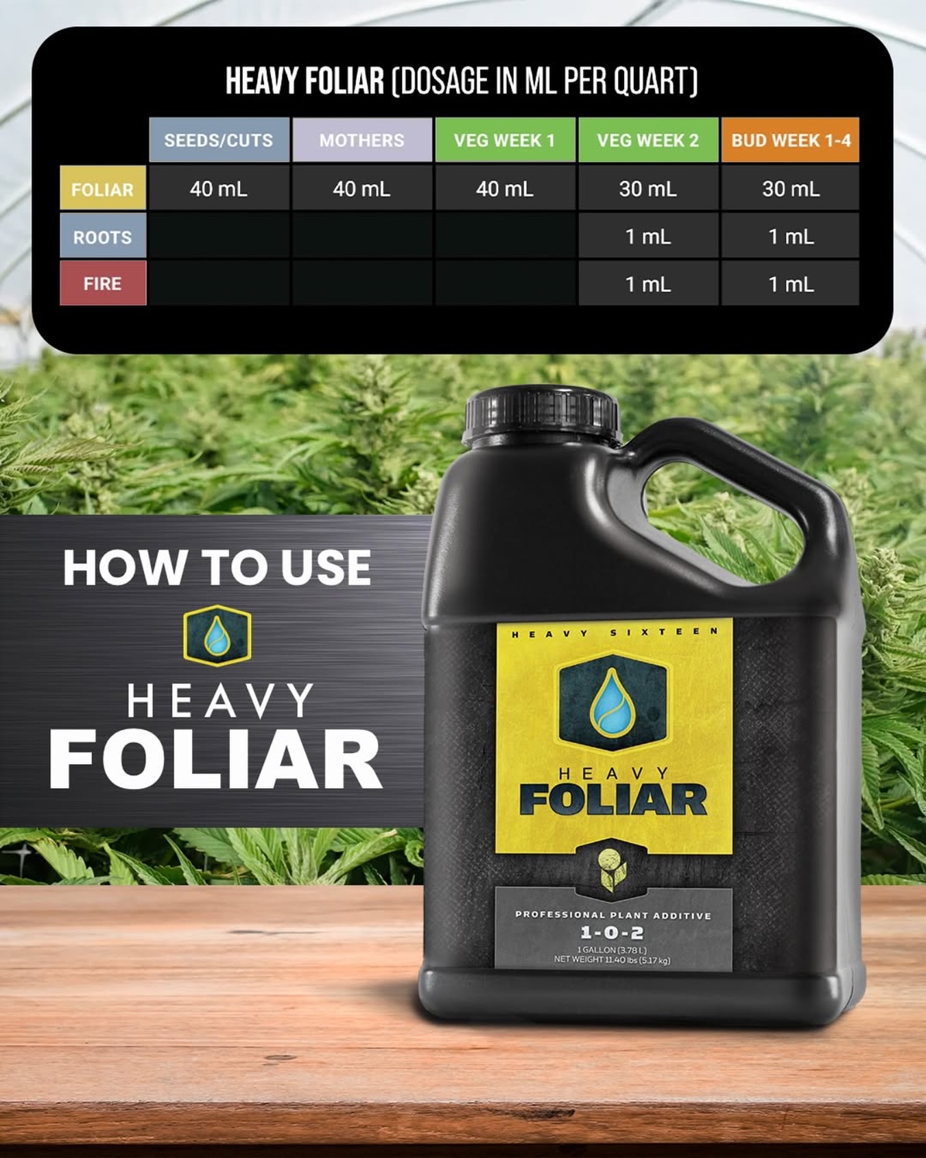 Need some tips on how to use HEAVY Foliar? You came to the right place! 📝

HEAVY FOLIAR is highly versatile and can be used alone or with other products. Mixing HEAVY FOLIAR with HEAVY ROOTS and HEAVY FIRE allows a for a comprehensive nutritional delivery in both phases of plant development. HEAVY FOLIAR can be mixed with pesticides, fungicides, soaps or oils.

We recommend spraying every three days for optimal nutrition uptake. If you prefer to spray every day, we recommend using the HEAVY FOLIAR recipe at half strength. For best results, spray your crop from seedling up until the fourth week on flowering crops. Please note that there is no need to adjust the pH of the FOLIAR formula after mixing, but that FOLIAR should be sprayed within three days of mixing!

🌿 Mix HEAVY FOLIAR with water, adding HEAVY16 Products in order as listed on the schedule on our website

🌿 Lightly mist plants every 3 days during foliar periods. Avoid drenching foliage.

🌿 You can spray HEAVY FOLIAR lights on or off; our recommendation is to spray at first light.

🌿 Do not adjust pH of FOLIAR mixture.

🌿 Use FOLIAR mixture within 3 days of dilution with water.

🌿 An oily sheen on leaves is normal.

#HEAVYFoliar #FoliarSpray #HEAVY16 #HEAVY16Nutrients #GrowWithHEAVY #HEAVY16Stacks #Foliar #BigGrowerPreferred