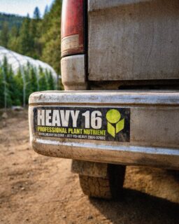 HEAVY results no matter what style of grow you have 🔥

We built HEAVY 16 for growers who want results without overcomplicating things. From small home gardens to full-scale grows, our clean, balanced formulas support strong roots, healthy plants, and consistent performance wherever you grow. Repping HEAVY wherever the road takes us. 🌱🚚

#HEAVY16 #HEAVY16Nutrients #GetBigGetHEAVY #BigGrowerPreferred #GrowWithHEAVY