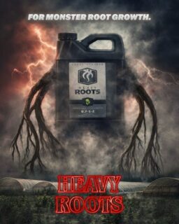 Paranormal root growth and rhizosphere health 💥

As a root promoter, Heavy Roots will increase branching of lateral roots, but more importantly, it will significantly increase the quantity and size of the true absorption zone, the root hair. But that isn’t all it can do! 🌿

As a root protector, Heavy Roots will elicit naturally induced resistances, or specifically, give the plant a complex layer of systemic acquired resistance (SAR). Tapping the plants evolutionary predisposition to ward off pestilence, we promote these hidden genetic gems through extremely fine derivatives. The result is that the plant becomes more resilient against fungal pathogens as well as insects 🐜

As a drip cleaner and anti-precipitate, Heavy Roots, through its outstanding composition of natural ingredients, will protect against lockout caused by poor water or base nutrients, exotic nutritional programs or faulty mixing methodologies. Heavy Roots will also keep your equipment and media free from salt buildup and scale! 💧

#GrowSmart #GrowYourOwn #GrowWithHEAVY #Indoor #Outdoor #HEAVY16Stacks #BigGrowerPreffered #HEAVY16 #Hydrofarm