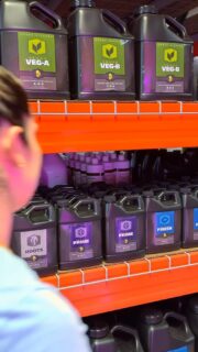 Weekend plans 😎🤘

A little bit of work in the garden, and a whole lot of enjoying the fruits of our labor! 😗💨

Hope everyone has a good one! 👊

#HEAVY16 #HEAVY16Nutrients #GetBigGetHEAVY #GrowWithHEAVY