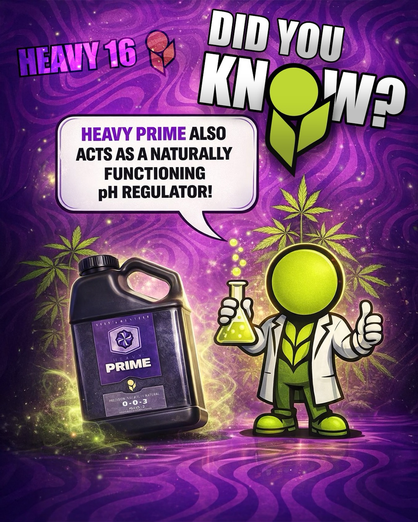 HEAVY Prime is as versatile as they come! 💪

HEAVY 16 is developed on an organic acid pH scale, as opposed to the common mineral acid pH scale. Because of its buffering or “friendliness”, organic acids allow for optimum microbial development. Hence, HEAVY PRIME is not only a microbial feed, but also naturally functioning pH regulator. To grasp the difference between organic acid and mineral acid, think of orange juice representing organic acid and battery acid representing a hard mineral acid – which is seen in most “pH down” products.

If your water source is roughly between 5.5 and 8.0 on pH scale, PRIME’s complexion will naturally titrate pH, eliminating the need for hard acids in the garden.
 
One less step in your routine so that you can spend time where it matters most!
 
#HEAVY16 #HEAVY16Nutrients #BigGrowerPreferred #GrowWithHEAVY #HEAVYPrime