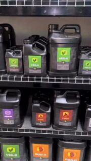 Picking up only the best 😎🤘

Veg A&B delivers balanced macros + micros, multiple forms of nitrogen and calcium, and a steady nutrient release that builds strong roots, thick tissue, and a resilient structure that can handle high light and CO₂ 🌿

Bud A&B picks up right where Veg leaves off, pushing density, oil production, and overall quality with highly bioavailable P/K, premium chelators, and elevated trace elements for a true top-shelf finish 🚀

Both are crafted with HEAVY’s premium raw inputs and micro-batch blending, giving you a clean, powerful, streamlined base that works in hydro, coco, or soil — without complicating the feed chart 🤟

Use Veg A&B + Bud A&B as your foundation, stack your favorite HEAVY additives, and you’ve got everything your plants need from start to finish! 👊

Video: @mrcalibear