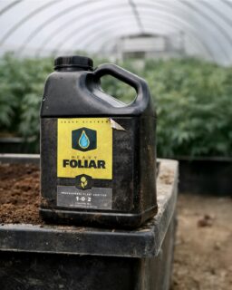 Need some tips on how to use HEAVY Foliar? You came to the right place! 📝

HEAVY FOLIAR is highly versatile and can be used alone or with other products. Mixing HEAVY FOLIAR with HEAVY ROOTS and HEAVY FIRE allows a for a comprehensive nutritional delivery in both phases of plant development. HEAVY FOLIAR can be mixed with pesticides, fungicides, soaps or oils.

We recommend spraying every three days for optimal nutrition uptake. If you prefer to spray every day, we recommend using the HEAVY FOLIAR recipe at half strength. For best results, spray your crop from seedling up until the fourth week on flowering crops. Please note that there is no need to adjust the pH of the FOLIAR formula after mixing, but that FOLIAR should be sprayed within three days of mixing!

🌿 Mix HEAVY FOLIAR with water, adding HEAVY16 Products in order as listed on the schedule on our website

🌿 Lightly mist plants every 3 days during foliar periods. Avoid drenching foliage.

🌿 You can spray HEAVY FOLIAR lights on or off; our recommendation is to spray at first light.

🌿 Do not adjust pH of FOLIAR mixture.

🌿 Use FOLIAR mixture within 3 days of dilution with water.

🌿 An oily sheen on leaves is normal.

#HEAVYFoliar #FoliarSpray #HEAVY16 #HEAVY16Nutrients #GrowWithHEAVY