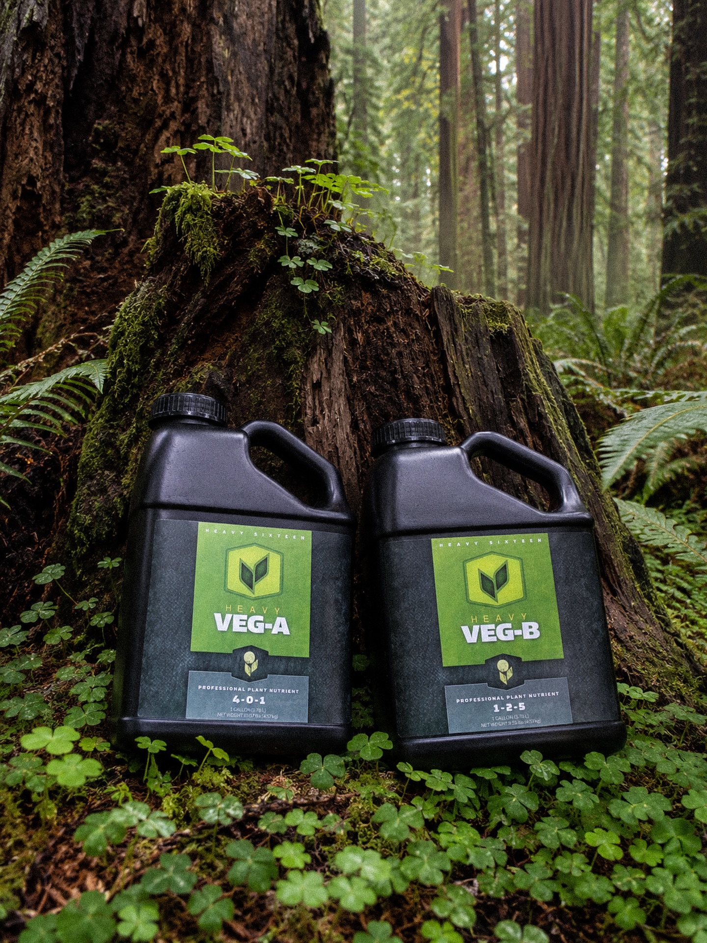Strong veg sets the stage for everything that follows. 🌱💪

HEAVY 16 Veg A & B is built to give plants a powerful, balanced foundation during the vegetative stage — supporting overall plant nutrition, optimizing nutrient conditions, and helping crops build the structure they need before the demands of bloom.

This two-part base keeps the program simple without cutting corners. Instead of overcomplicating your feed room with a shelf full of bottles just to get through veg, HEAVY 16 Veg A & B (and Bud A and B) deliver a professional-grade foundation in a straightforward A/B format and is complimented by only FIVE other additives total.

The goal: healthy, vigorous plants with the strength to support bigger growth later on. From root development to leaf expansion to overall plant structure, Veg A & B helps growers dial in the early stages with confidence.

That’s what sets HEAVY 16 apart: complex formulation, simple application, premium results. The line is designed for growers who want high-performance nutrition without unnecessary guesswork — and Veg A & B is where that system starts.

Build the plant first and the harvest follows! 🌿

#HEAVY16 #VegAB #PlantNutrition #GrowWithHEAVY #Hydrofarm