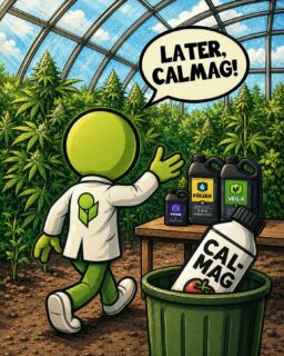 No need for CalMag when you’re running HEAVY! 😎

As a matter of fact, HEAVY 16 is so complete, the only auxiliary components we recommend are an enzyme and your favorite bacterial inoculant 🦠

We have included 4 forms of calcium (Two organic, and two synthetic) in both the Veg A and Bud A components of our base.

On top of that, we also pack the same four forms of Calcium into our FOLIAR spray, too!

So don’t worry, HEAVY’s got you covered, on all angles... By Growers, For Growers 👊

#TeachMeHowToHEAVY #HEAVY16 #HEAVY16Nutrients #GrowWithHEAVY #Hydrofarm