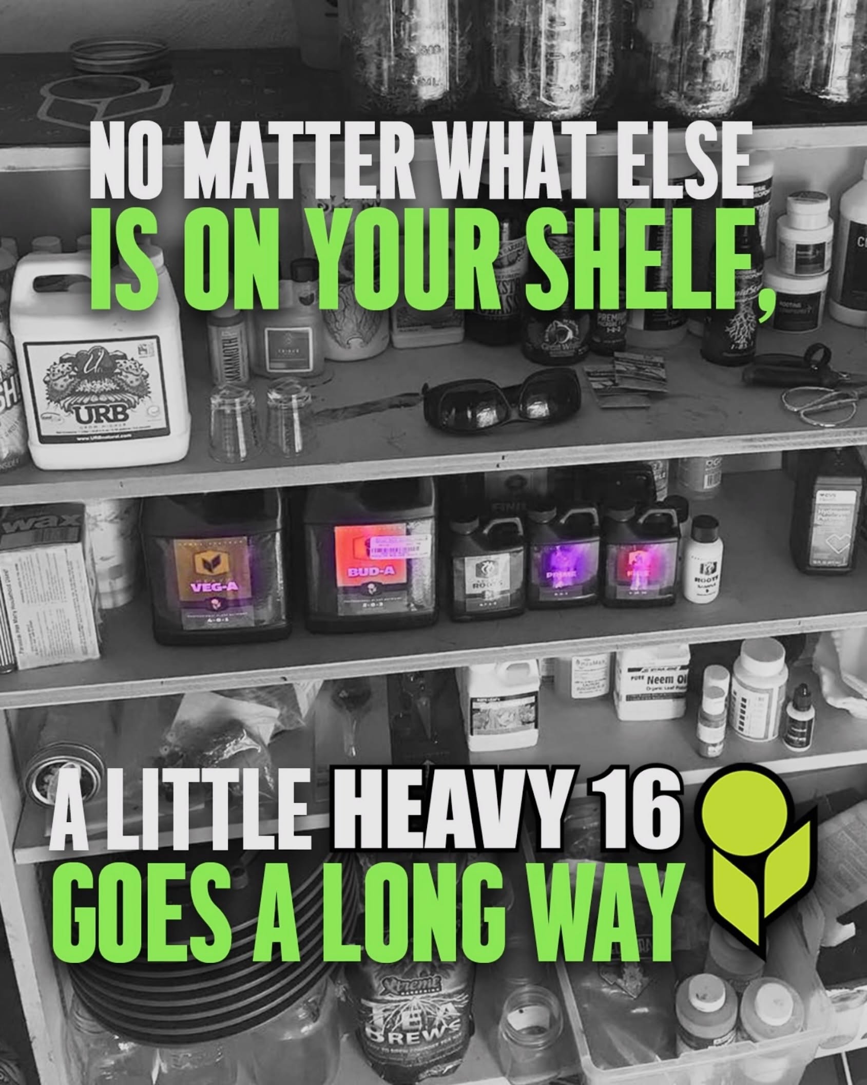 You can combine HEAVY 16 with any other nutrient line! ✅

Whether one additive, the base nutrient, or the entire line, you have our promise to reap the rewards of our blending. HEAVY16 is always brewed in micro batches to ensure consistency and total plant nutrition! 🌿

Photo: @cannaology617

#HEAVY16 #HEAVY16Nutrients #GetBigGetHEAVY