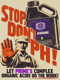 No need to pH when you’re running HEAVY 💪

PRIME, our centerpiece, sets the pH for you via complex organic acids! If your water source is roughly between 5.5 and 8.0 on pH scale, PRIME’s complexion will naturally titrate pH, eliminating the need for hard acids in the garden 🌱

One less step in your routine so that you can spend time where it matters most! 😎

#HEAVY16 #HEAVY16Official #TheMoreYouKnow #GrowYourOwn #BigYields