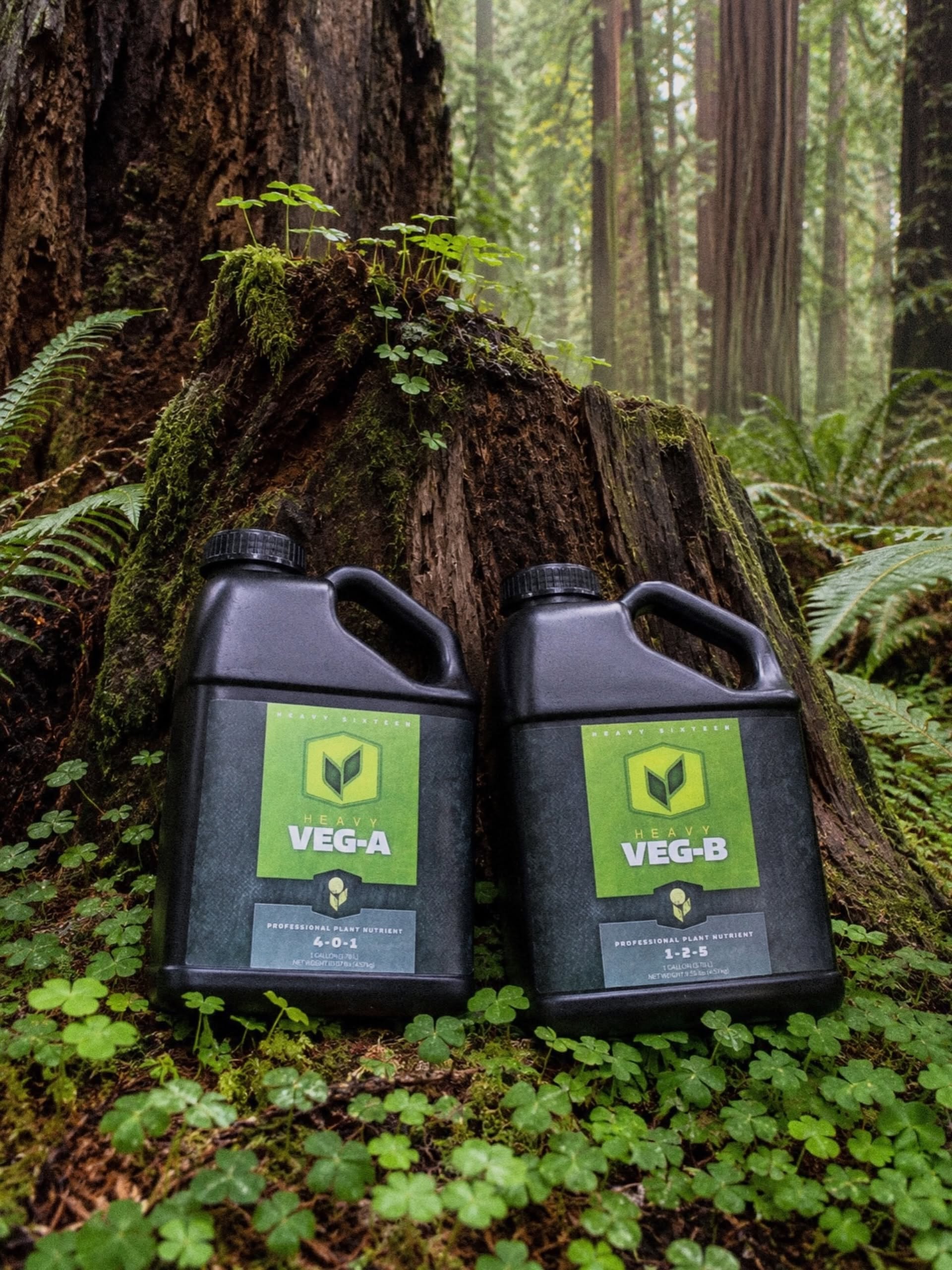 Strong roots. Strong plants. Strong foundation. 🌲🌱

Just like the towering redwoods around us, great plants start with a solid foundation.

HEAVY VEG A & B is designed to support vigorous vegetative growth, delivering a balanced combination of essential nutrients to help plants develop strong roots, healthy foliage, and the structural integrity needed to thrive throughout their growing cycle.

With multiple forms of nitrogen, calcium, and micronutrients, our two-part VEG formula provides comprehensive nutrition without unnecessary complexity.

Because the bigger the goals, the stronger the foundation needs to be. 💪

#HEAVY16 #HEAVYVeg #GrowWithHEAVY #GetBigGetHeavy #PlantNutrition
