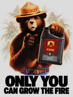 Only you can grow the fire 🐻🔥

At HEAVY 16, we’ve never believed that top-tier craft is an accident: it’s an obsession! When your canopy pushes into mid-to-late bloom and the stakes are highest, off-the-shelf nutrient regimens tap out. That’s where HEAVY Fire takes over.

Formulated with a hyper-pure 1-10-16 profile, Fire isn’t designed to bulk up empty water weight or blast your root zone with cheap, harsh salts. It delivers clean, bio-available phosphorus and potassium engineered specifically to:

🔥 Stack Dense Calyxes: Drive tight, rock-solid flower development through peak floral swell.

🔥 Ignite Trich Production: Trigger secondary metabolite synthesis for unmatched resin density and frost.

🔥 Max Out Terpene Expression: Protect volatile aromatic profiles so your dry and cure actually smells like the garden on day 50!

#HEAVY16 #HEAVY16Nutrients #HEAVYFire #HEAVY16Fire #GrowWithHEAVY