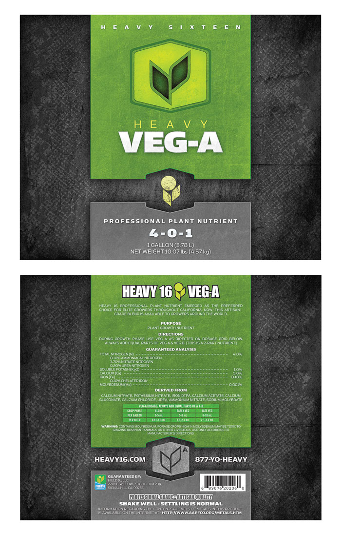 Heavy16-VegA