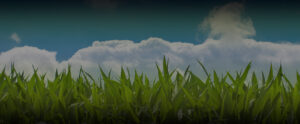 HEAVY 16 IS A PROFESSIONAL NUTRIENT, DESIGNED FOR SERIOUS GROWERS.